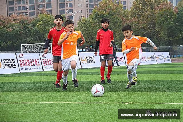 解读BSport必一